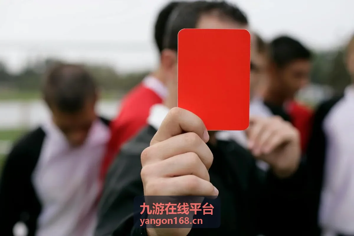 九游在线平台实名校验与信息核对说明配图